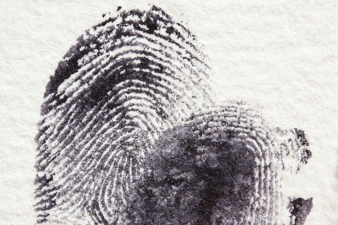 fingerprint-255904_1280 (1)